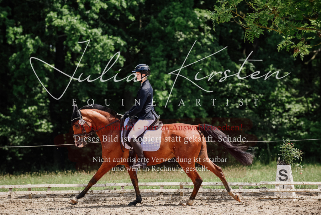 DSC_1763 | Pferde- und Turnierfotografie in Westsachsen. Pferdeportraits, Auftragszeichnungen und intuitive Kunst.