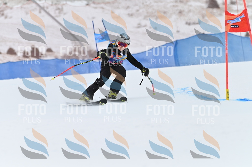 BGV_9657 | holidayphoto