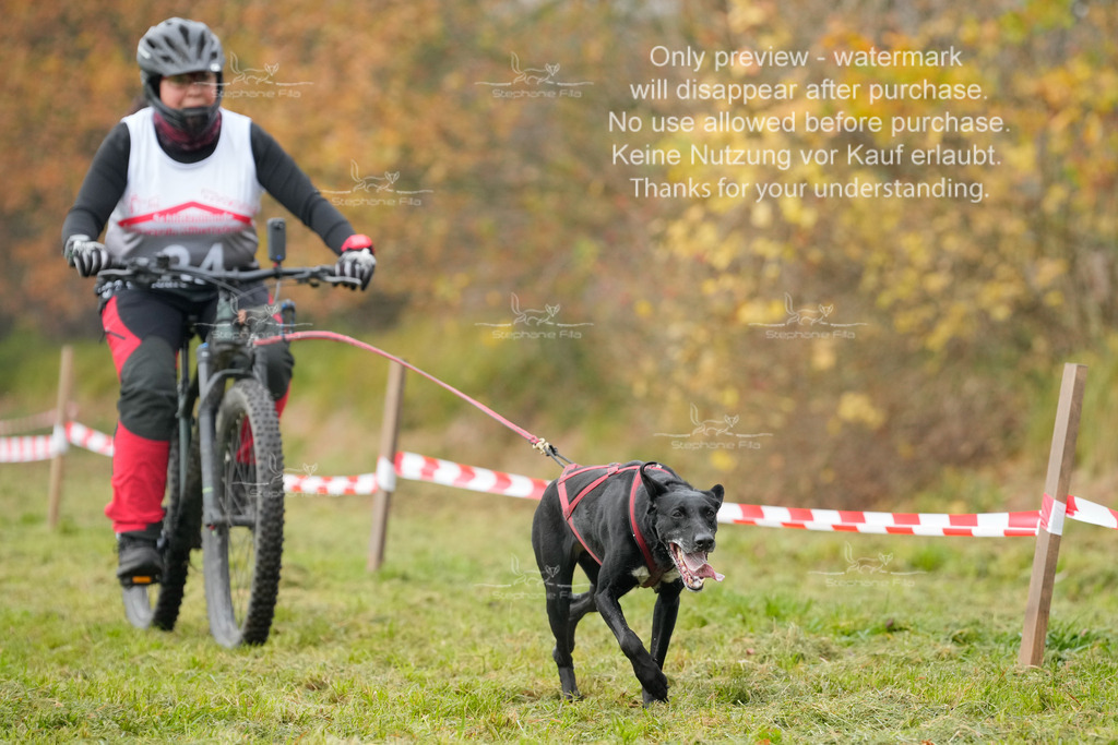 Visbeck_Sa_Bike-291 | stephaniefillaphotographie - Realisiert mit Pictrs.com