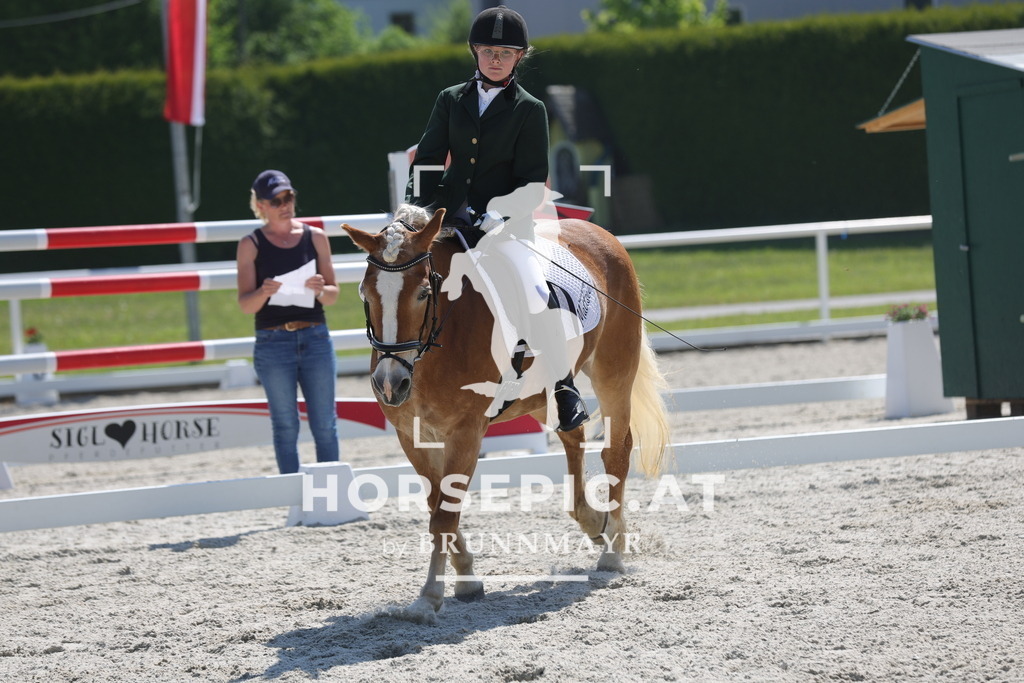 0P6A2427 | Willkommen bei Brunnmayr - Design & Fotografie – Ihrem Spezialisten für Reitturniere und Pferdeveranstaltungen in Oberösterreich, Salzburg und Bayern! Seit über 17 Jahren sind wir leidenschaftlich dabei.