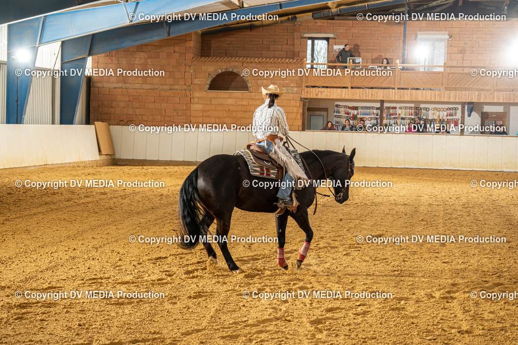 MIT00702 | dv-media-shop - Realisiert mit Pictrs.com