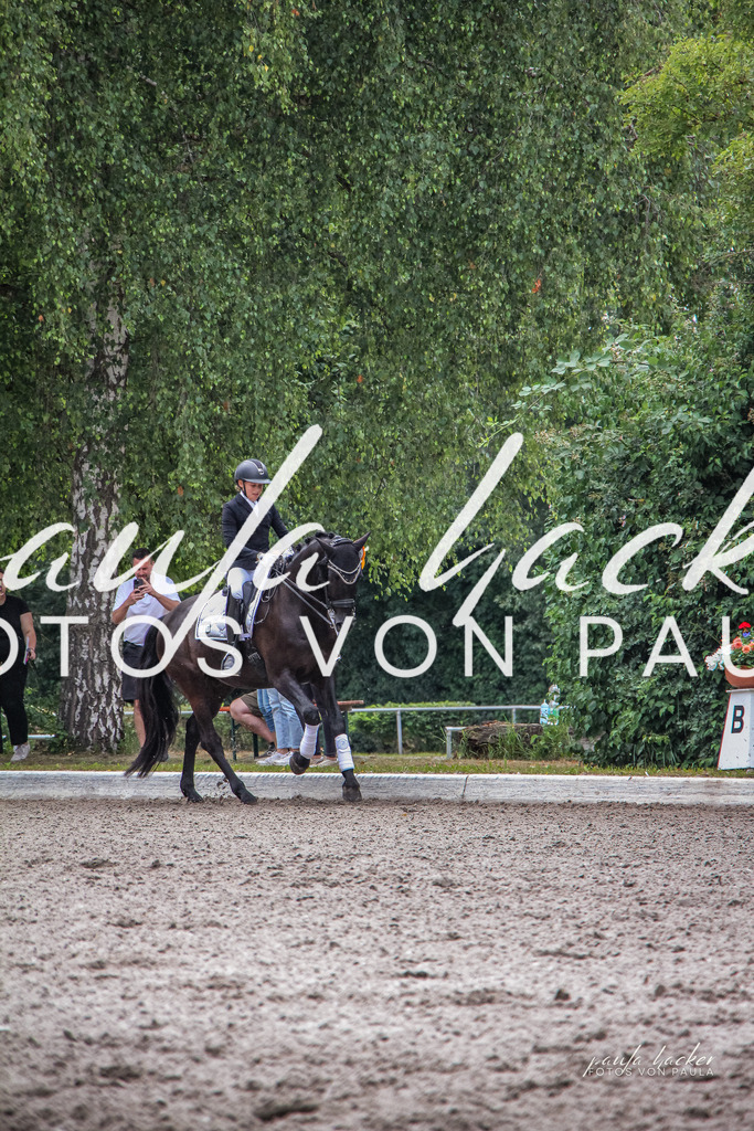 IMG_8972 | Erleben Sie dynamische Sport- und emotionale Tierfotografie in Süddeutschland mit Fotos von Paula. Spezialisiert auf Pferde- und Hundefotografie sowie Sportevents. Kontaktieren Sie mich für einzigartige und ausdrucksstarke Bilder Ihrer besonderen Momente. - Realisiert mit Pictrs.com
