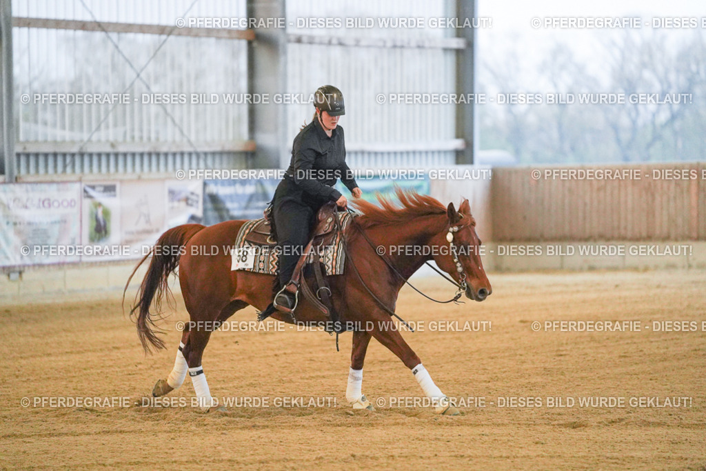 DSC09264 | Pferdegrafie