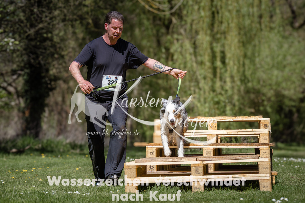 1247_ZZ94556 | kk-dogfotos