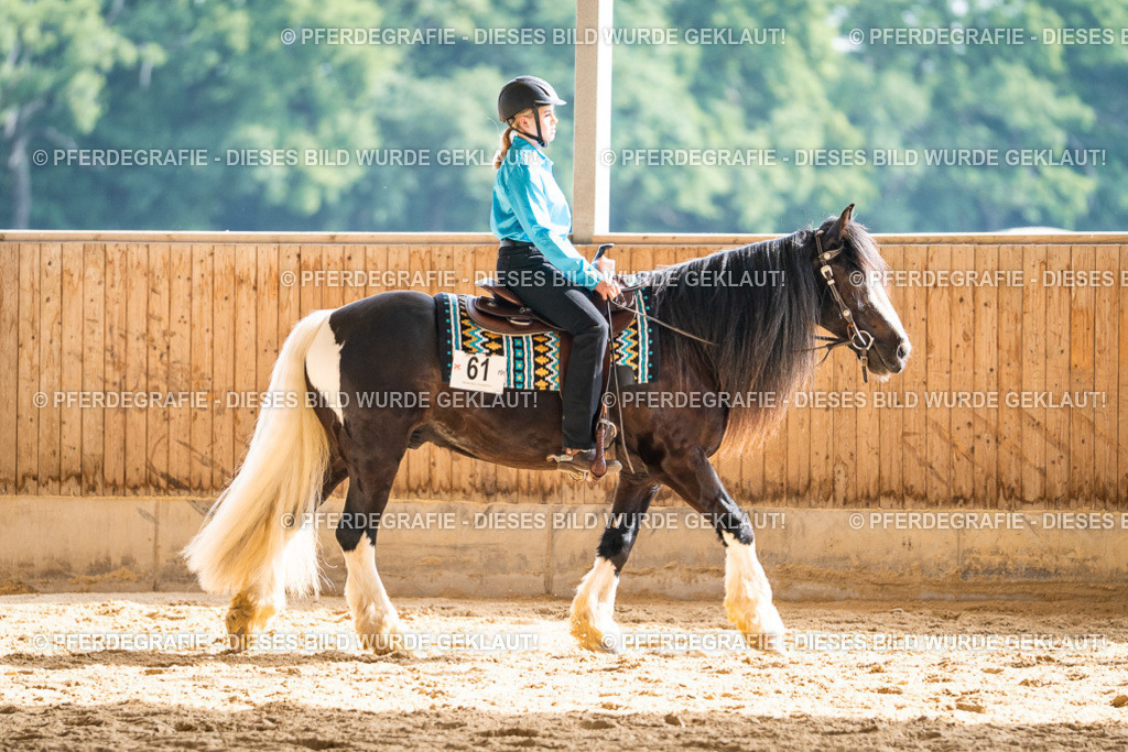 DSC08577 | Pferdegrafie