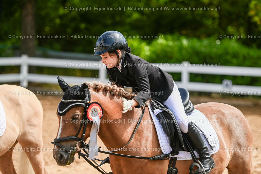 20230716_10-3_Reiter-WB Schritt - Trab - Galopp_0240 | equistock