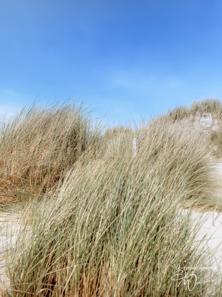 20240506-160725 NORDSEE SPO _032-1 | Herzlich willkommen auf meiner Seite! Ich bin Elke Wallnisch, Deine Fotografin für lichtstarke Momente. Der Name steht für alles, was mich mit der Fotografie verbindet: Das Licht und seine machtvolle Wirkung auf eine Situation oder unsere Stimmung - Realisiert mit Pictrs.com