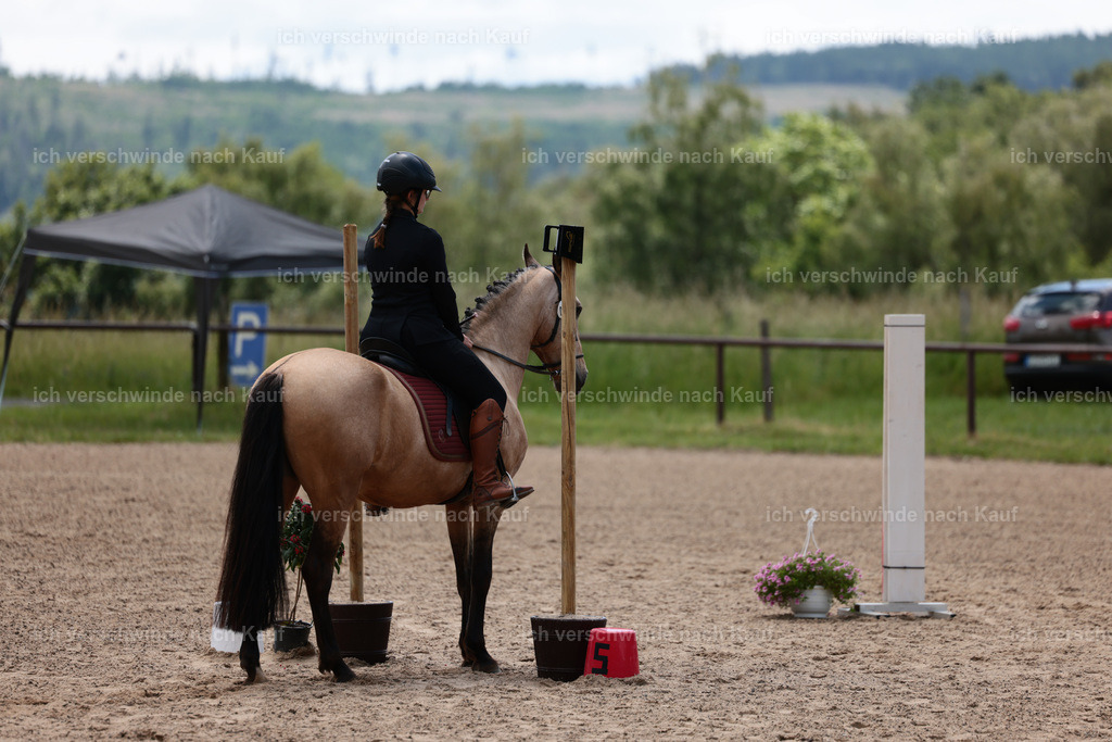 KlasseE_Stoibphotography_CAM22441.JPG | working equitationturnier fotograf videograf stoibphotography marixx film working equitation deutschland reitsport turnierfotografie eventfotografie equestrian events