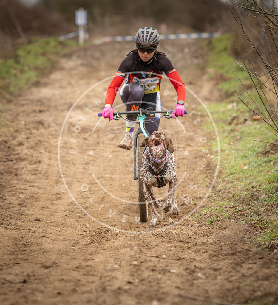 DV3A1254 | Hundefotografie, Tierfotograf, Pfotenfotografie, Fotoshooting Hund, Hunde Portrait, Hundesport, Hundeportraits, Heideshooting, Hunde, Sportfotograf, Hundefotograf, Turnierhundsport, THS,  - Realisiert mit Pictrs.com