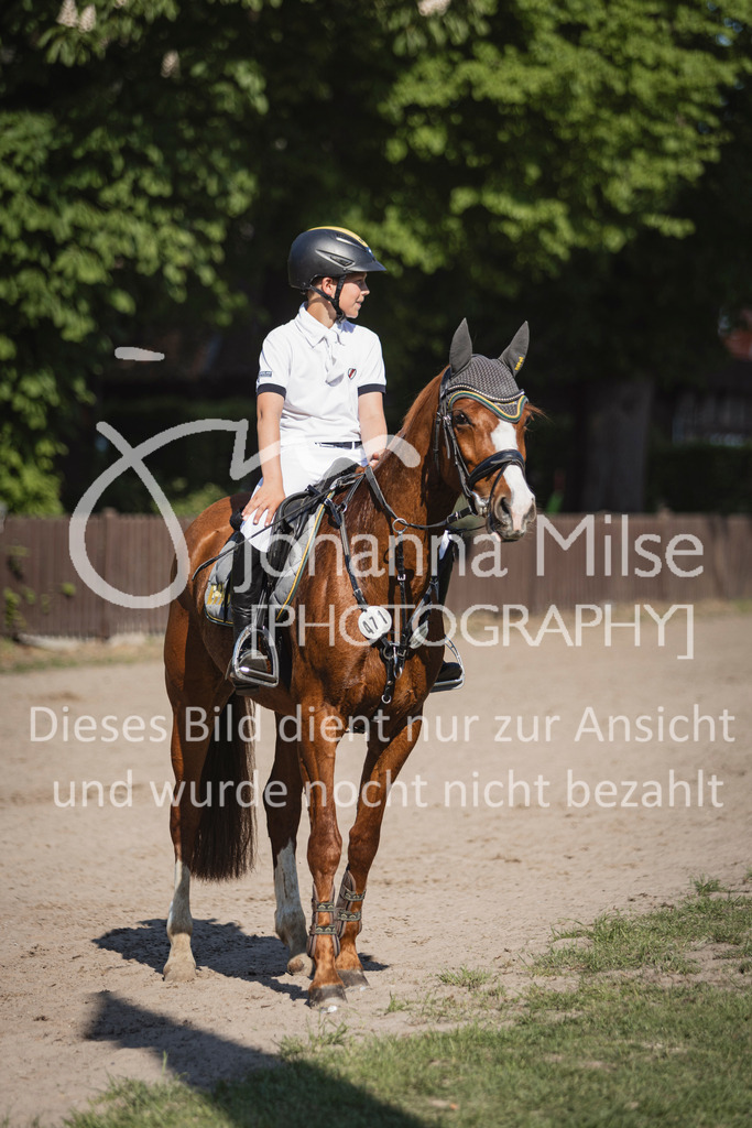 250501_MünsterHandorf_A1-Stil-114 | Deine schönsten Turniermomente als professionelle Fotos! Entdecke hochwertige Pferdesport-Fotografie im Online-Shop. Jetzt Fotos finden & bestellen!