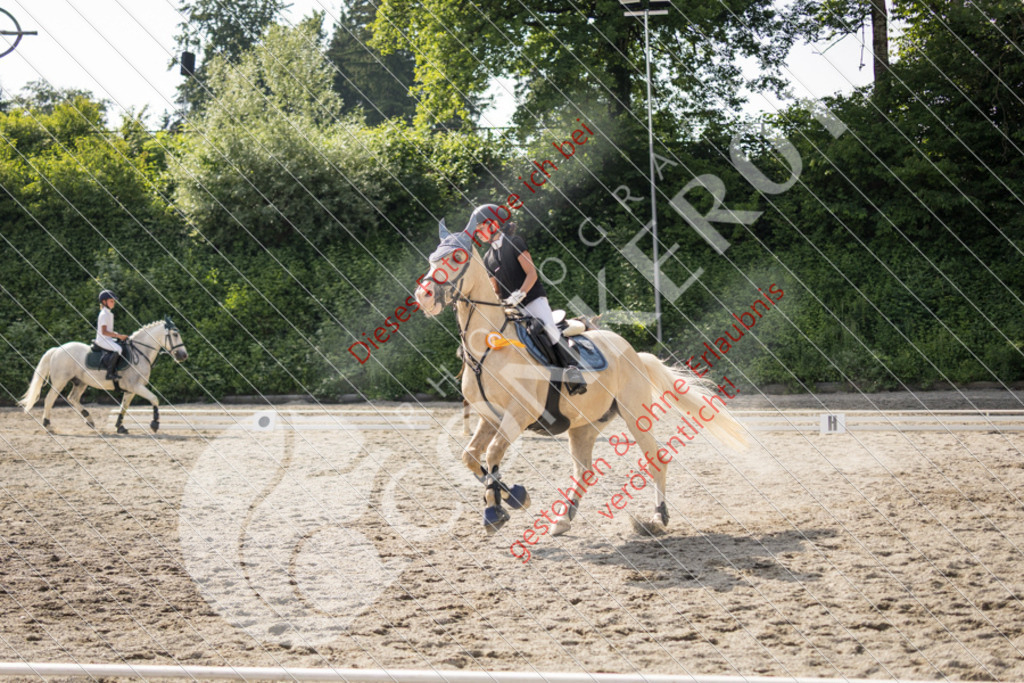 IMG_6114 | Sport-, Event- und Tierfotos in Profiqualität. Einfach auswählen, bestellen und herunterladen. Dein Moment – perfekt festgehalten.