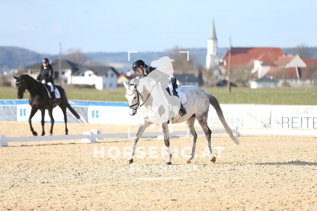 AS8V2054 | Willkommen bei Brunnmayr - Design & Fotografie – Ihrem Spezialisten für Reitturniere und Pferdeveranstaltungen in Oberösterreich, Salzburg und Bayern! Seit über 17 Jahren sind wir leidenschaftlich dabei.