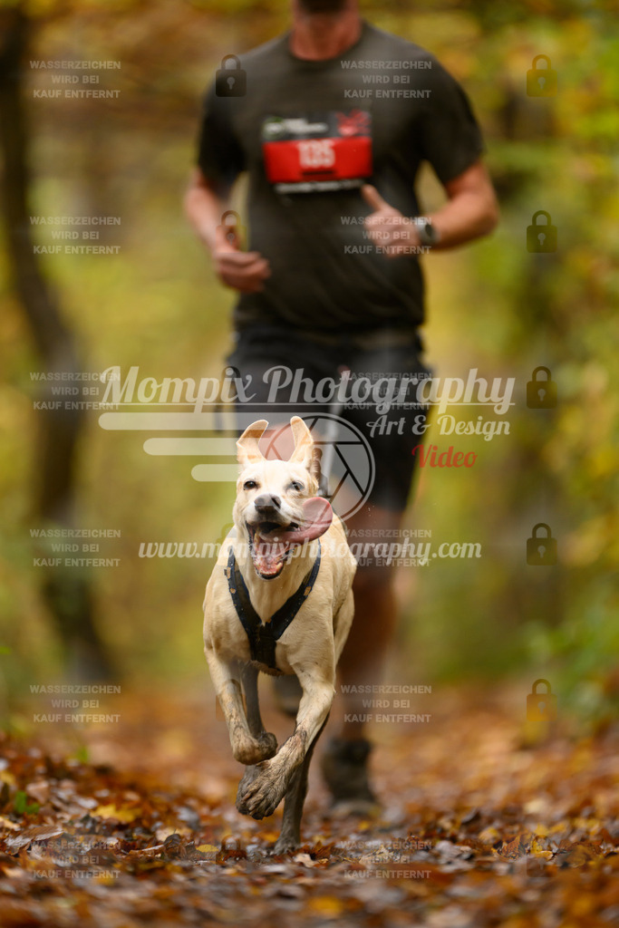 MompixPhotography_CD7S_DI_CCL-71 | mompixphotography