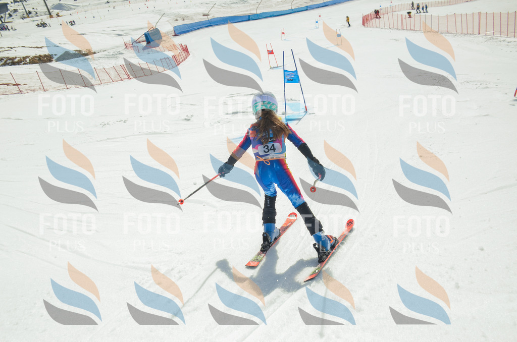 _ELE4937 | holidayphoto