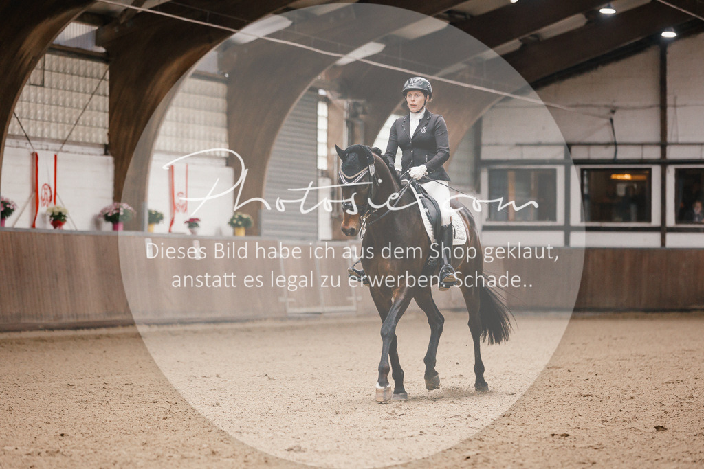 3I6A8665 | Stimmungsvolle Portraits und Reitsportfotografie im Ruhrgebiet und im Münsterland.

Pferdefotografie, Hundefotografie, Tierfotografie, Reportagen, Portraits von Tier und Mensch, Turnierfotografie in Bochum, Recklinghausen, Marl, Haltern am See, Dülmen.. - Realisiert mit Pictrs.com