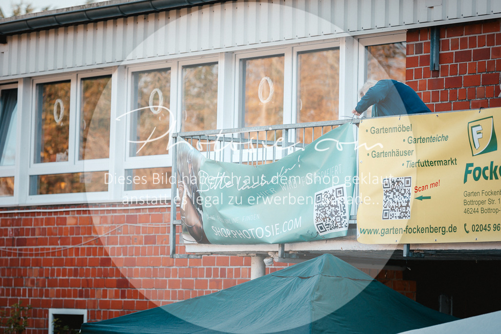 3I6A1619 | Stimmungsvolle Portraits und Reitsportfotografie im Ruhrgebiet und im Münsterland.

Pferdefotografie, Hundefotografie, Tierfotografie, Reportagen, Portraits von Tier und Mensch, Turnierfotografie in Bochum, Recklinghausen, Marl, Haltern am See, Dülmen.. - Realisiert mit Pictrs.com