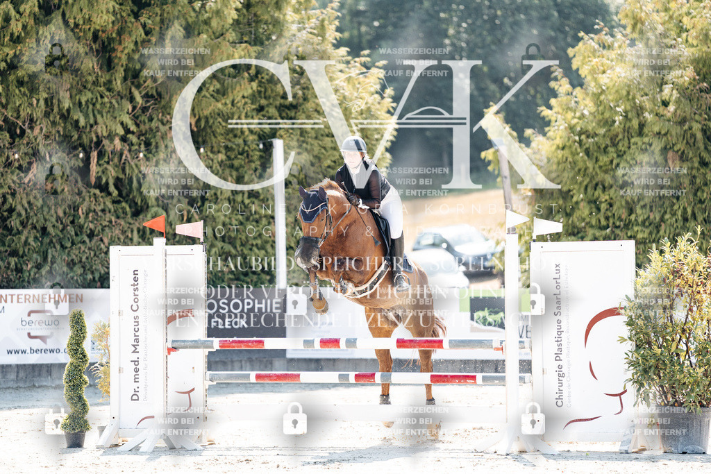CK908478 | Turnierfotografie Pferdefotografie Trier Rheinland-Pfalz Pferdesport Reitsport Tierfotografie Sportfotografie Pferdevideo Pferdevideografie Equestrianvideography equestrianphotography  - Realisiert mit Pictrs.com