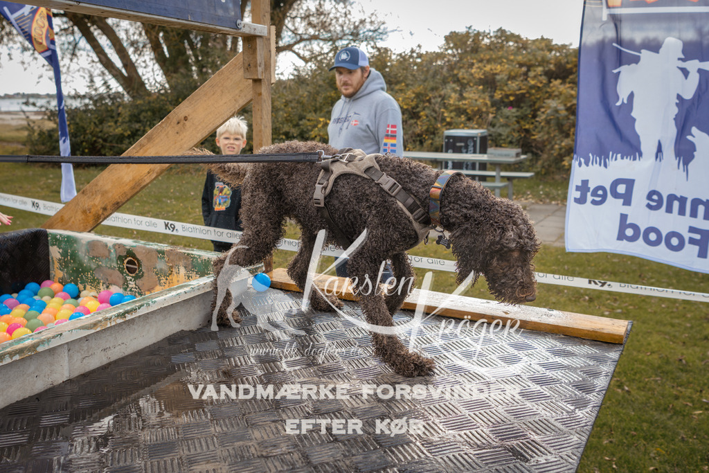 1338_ZZ91724-2 | kk-dogfotos