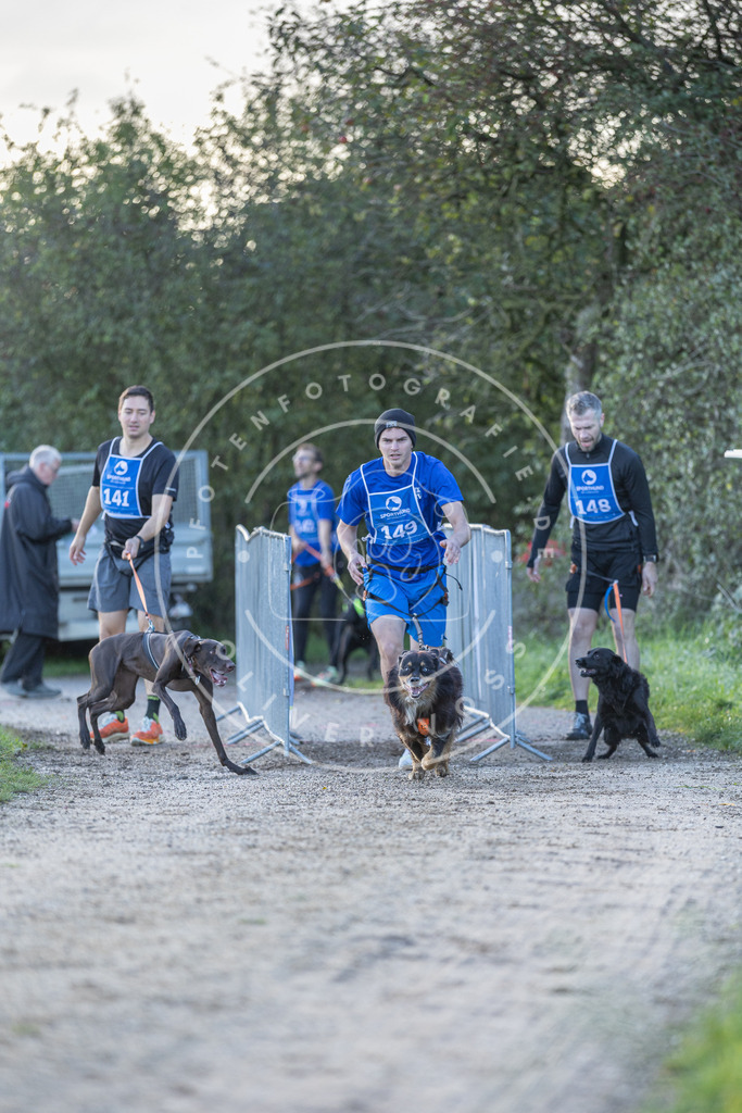 Pfotenfotografie.de_DV3A2796 | Hundefotografie, Tierfotograf, Pfotenfotografie, Fotoshooting Hund, Hunde Portrait, Hundesport, Hundeportraits, Heideshooting, Hunde, Sportfotograf, Hundefotograf, Turnierhundsport, THS, canicross - Realisiert mit Pictrs.com