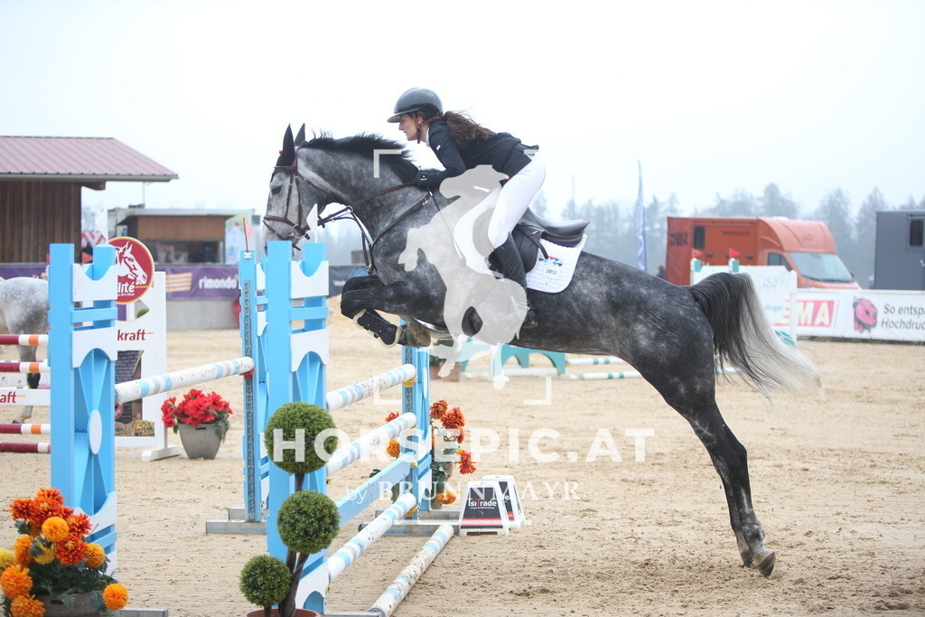 PP013430 | Willkommen bei Brunnmayr - Design & Fotografie – Ihrem Spezialisten für Reitturniere und Pferdeveranstaltungen in Oberösterreich, Salzburg und Bayern! Seit über 17 Jahren sind wir leidenschaftlich dabei.