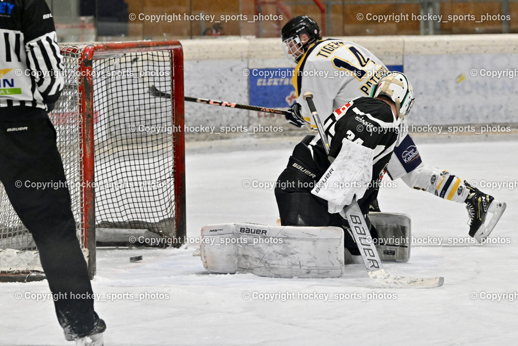 EC Tigers Paternion vs. Tarco Wölfe II | Penalty, #34 Schleinzer Manuel Tarco Wölfe II, #14 Tschurnig Daniel EC Tigers Paternion, EC Tigers Paternion vs. Tarco Wölfe II, EC Tigers Paternion vs. Tarco Wölfe II am 19.12.2024 in Spittal an der Drau (Eissportzentrum Spittal), Austria, (Photo by Bernd Stefan)