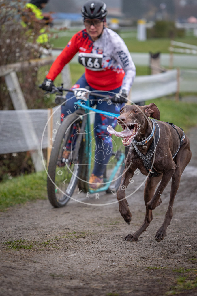 CaniXpix_0L8A0792 | Hundefotografie, Tierfotograf, Pfotenfotografie, Fotoshooting Hund, Hunde Portrait, Hundesport, Hundeportraits, Heideshooting, Hunde, Sportfotograf, Hundefotograf, Turnierhundsport, THS,  - Realisiert mit Pictrs.com