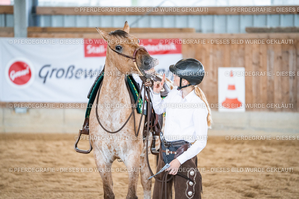 DSC01430 | Pferdegrafie