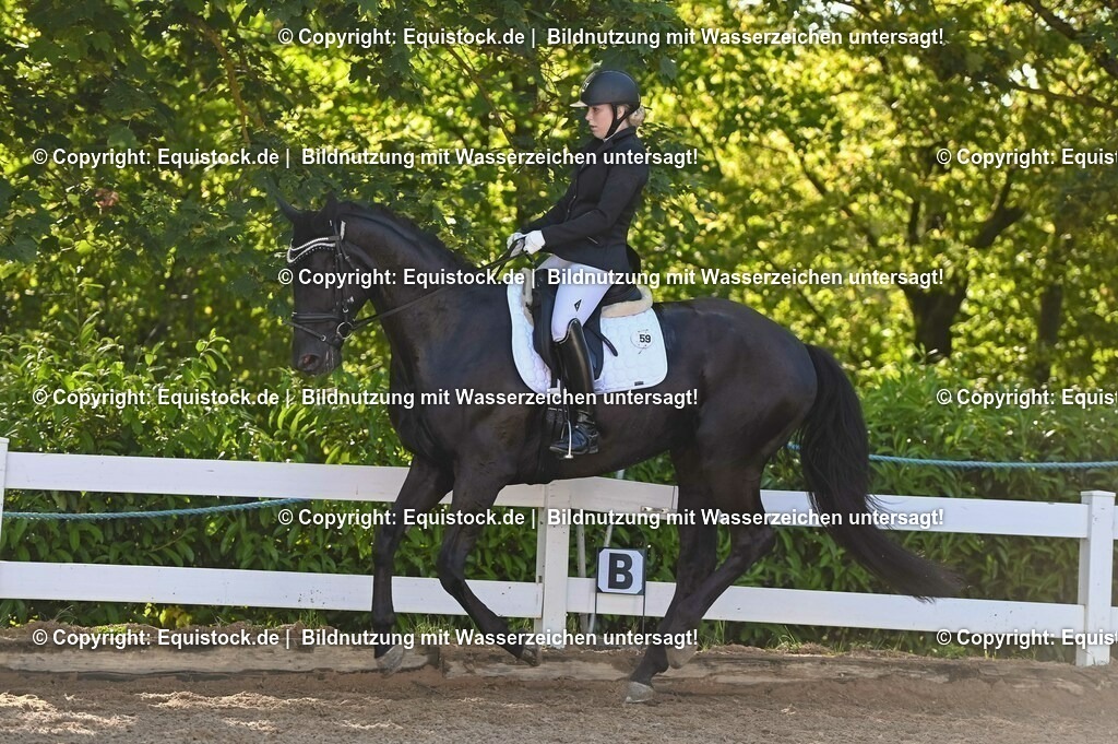 20230715_06_Dressurpferdeprfg. Kl.A_0072 | equistock