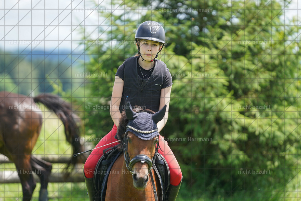 20240622-FAH07238 | Turnierfotografen Bayern, Reitsportbilder aus dem Geländekurs mit Felix Etzel auf dem Gut Waitzacker 2024