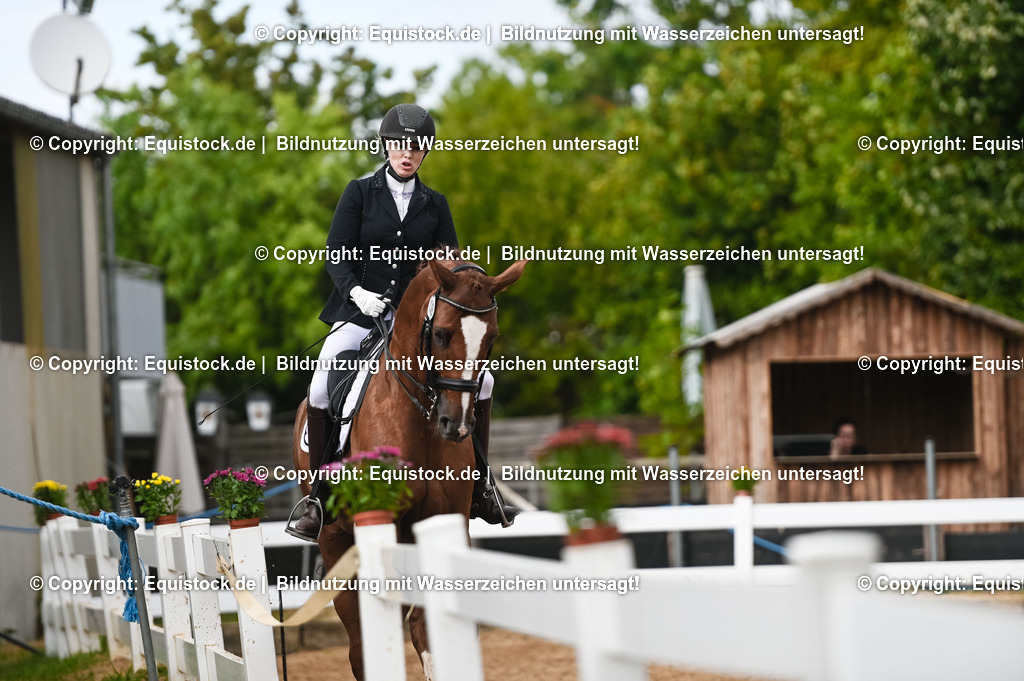 20230716_01_Dressurprüfung Kl.M_0539 | equistock