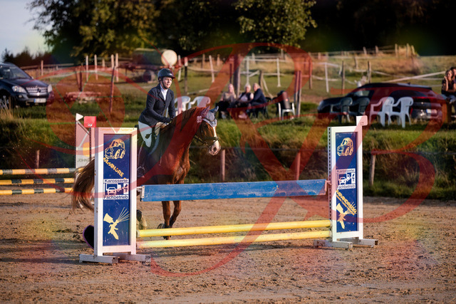 2026_10_03_Siefer-Hof_171252_Z81_10178156 | Professionelle Reitsport-, Turnier- und Eventfotografie von Robert Broda. Galerien mit ausgewählten und bearbeiteten Bildern direkt online ansehen und bestellen.