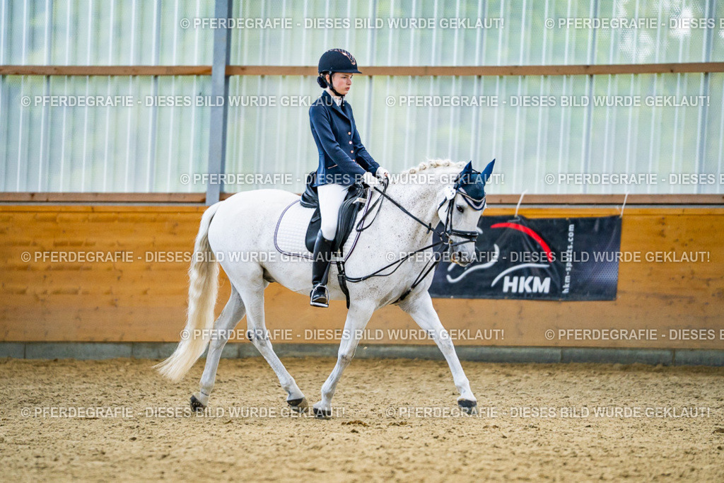 DSC04829 | Pferdegrafie