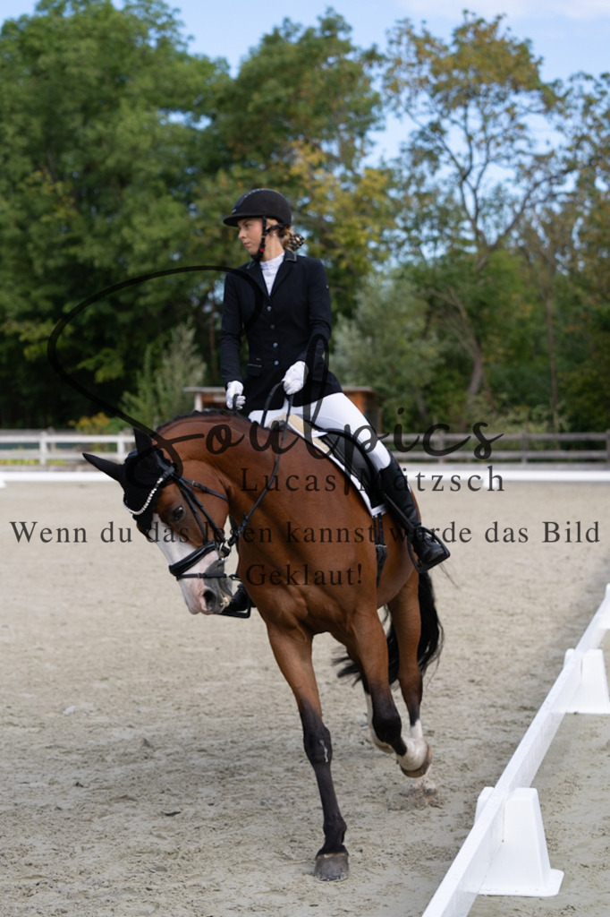 A7V06815 | Turnier/Reitfotograf