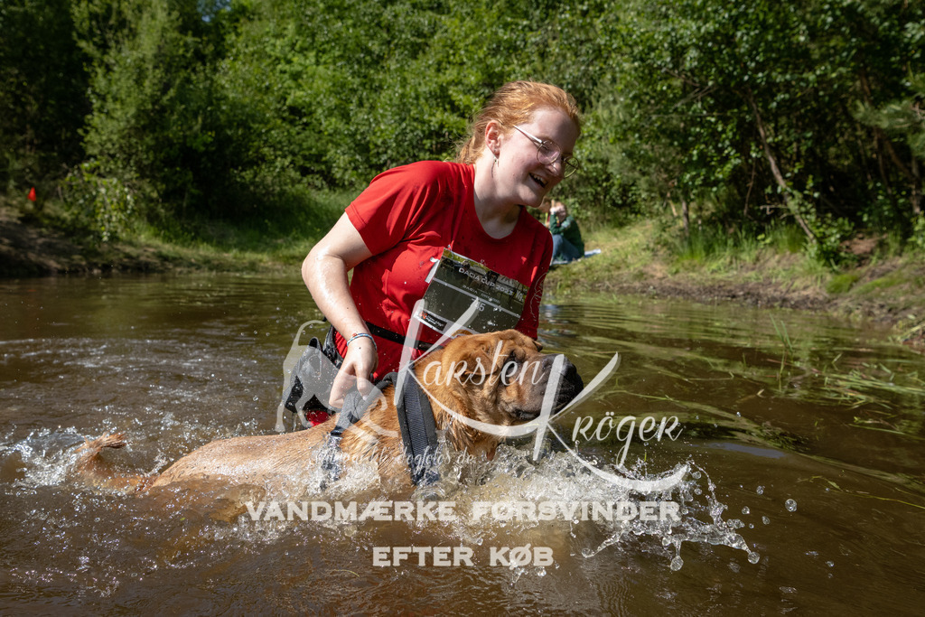 1538DKK991638 | kk-dogfotos
