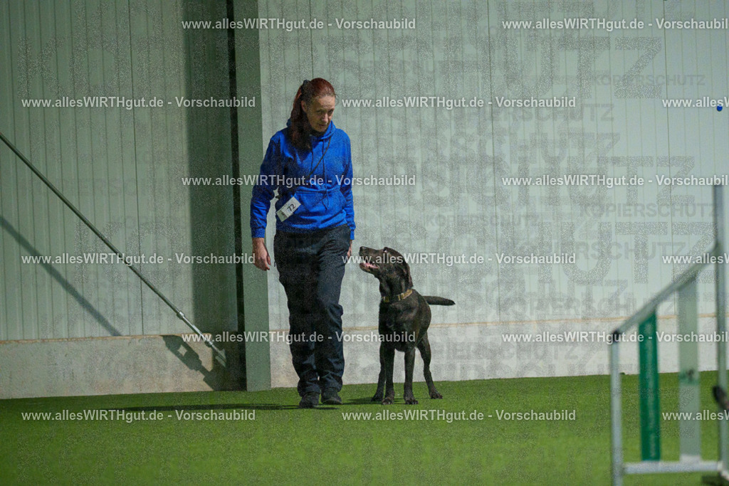 7R507037 | Professionelle Tierfotografie in Mönchengladbach von Daniel Wirth (allesWIRTHgut). Liebevolle & natürliche Bilder von Hunden & Katzen für unvergessliche Erinnerungen.