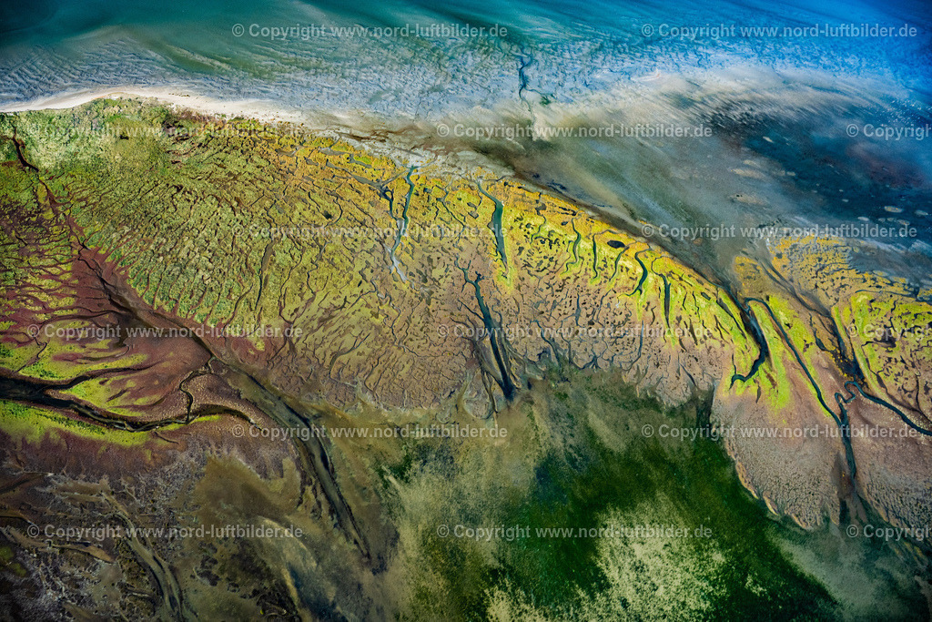 Memmert_Seegraswiesen_ELS_3841231021 | NORDSEEINSEL MEMMERT 23.10.2021 Kurvenförmige Schleifen mehrerer Fluss- Verläufe auf der grünen naturgeschützten Nordsee- Insel Memmert bei Juist mit Wattenmeer und vorgelagerter Sandbank Kachelotplate im Bundesland Niedersachsen. Weiterführende Informationen bei: Niedersächsischer Landesbetrieb für Wasserwirtschaft, Küsten- und Naturschutz. // Curved loops of several converging rivers flowing into the Wadden Sea on the green environmentally protected North Sea island Memmert in Juist and the sandbank Kachelotplate in the state Lower Saxony. Further information at: Niedersaechsischer Landesbetrieb fuer Wasserwirtschaft, Kuesten- und Naturschutz. Foto: Martin Elsen