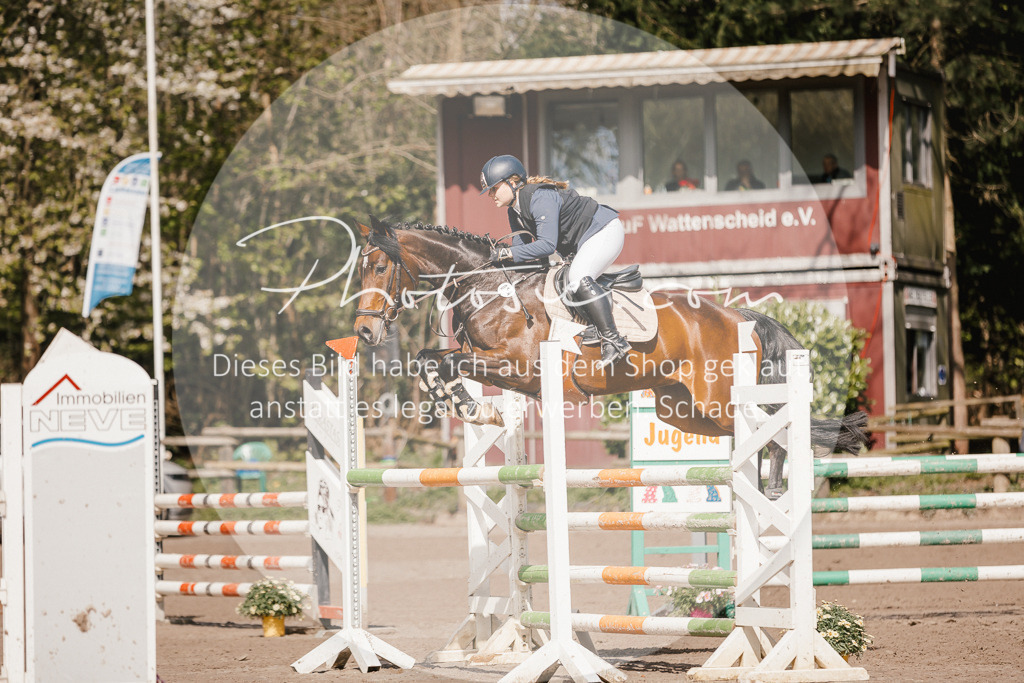 3I6A4107 | Stimmungsvolle Portraits und Reitsportfotografie im Ruhrgebiet und im Münsterland.

Pferdefotografie, Hundefotografie, Tierfotografie, Reportagen, Portraits von Tier und Mensch, Turnierfotografie in Bochum, Recklinghausen, Marl, Haltern am See, Dülmen.. - Realisiert mit Pictrs.com