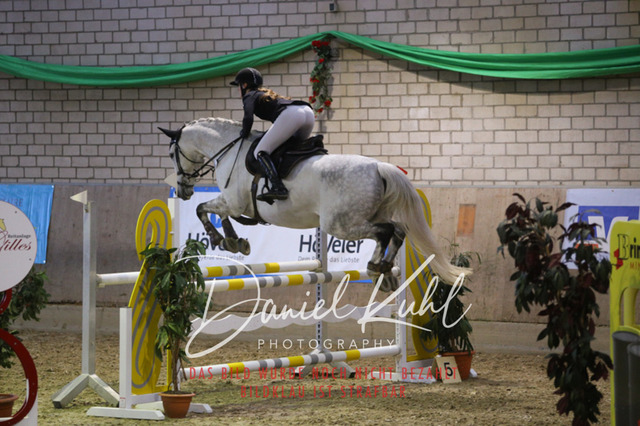 IMG_0830 | Deine Turnierfotos vom Reitturnier online kaufen: Dressur, Springen & Siegerehrung. Professionelle Pferdefotografie aus dem Rheinland – als Download & Print.Alternative: Turnierfotograf für den Pferdesport: Finde deine Fotos von Dressur- und Springturnier