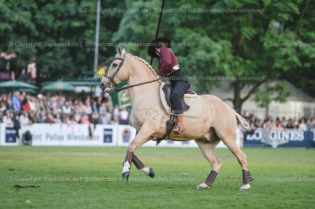 20230526_Pferdenacht_0693 | equistock