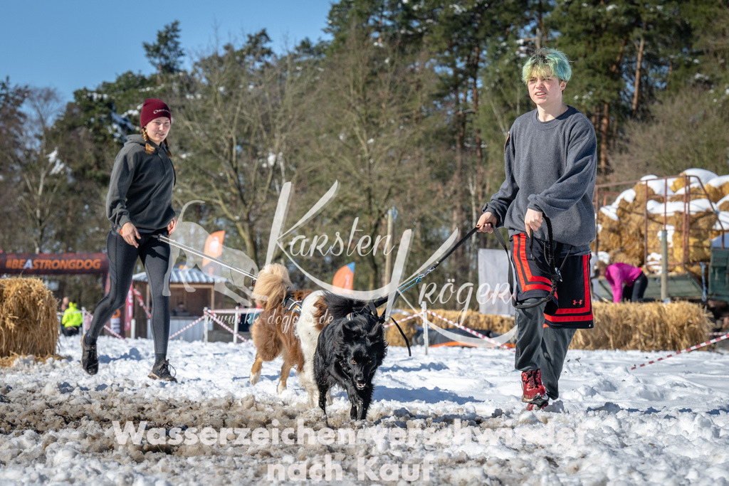1210_ZZ92095-4 | kk-dogfotos