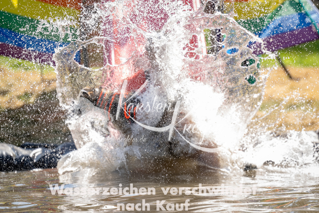 1438_ZZ91301 | kk-dogfotos