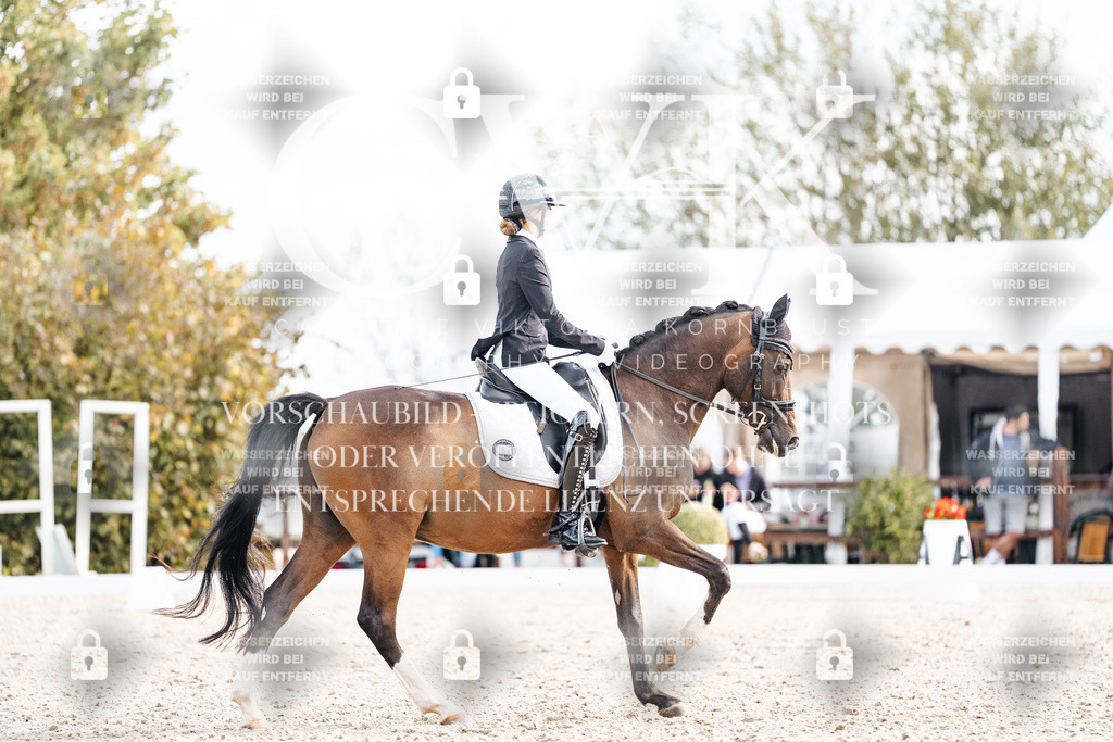 CK901690 | Turnierfotografie Pferdefotografie Trier Rheinland-Pfalz Pferdesport Reitsport Tierfotografie Sportfotografie Pferdevideo Pferdevideografie Equestrianvideography equestrianphotography  - Realisiert mit Pictrs.com