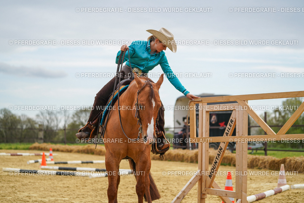 DSC03036 | Pferdegrafie