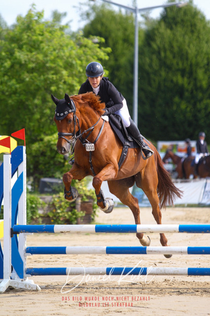 DKP41251 | Turniersportfotografie; Pferdefotografie; Dressurfotografie