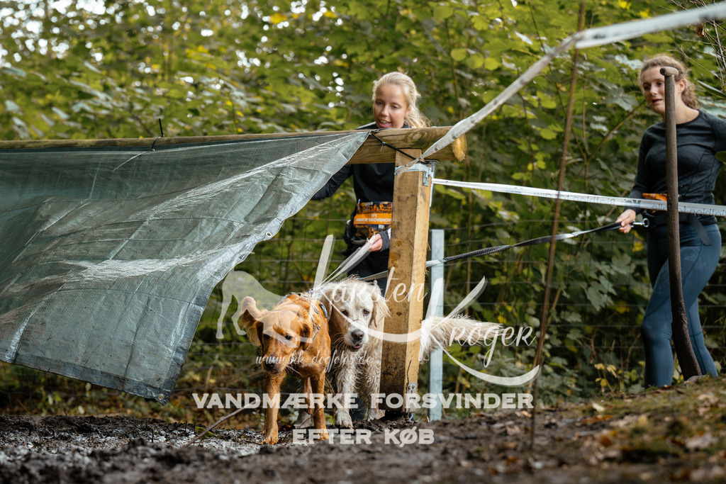 1435DZ6_3056Z6 | kk-dogfotos