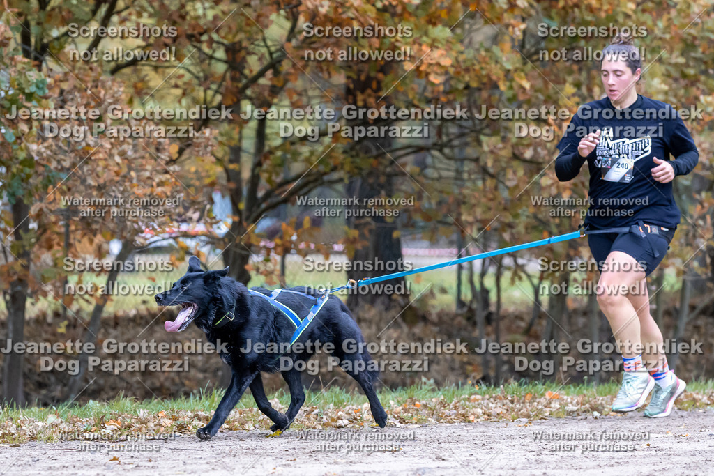 Dog Paparazzi - SD CaniX Championship 2025-515 | Dog Paparazzi Jeanette Grottendiek Fotografie & Videografie - Realisiert mit Pictrs.com