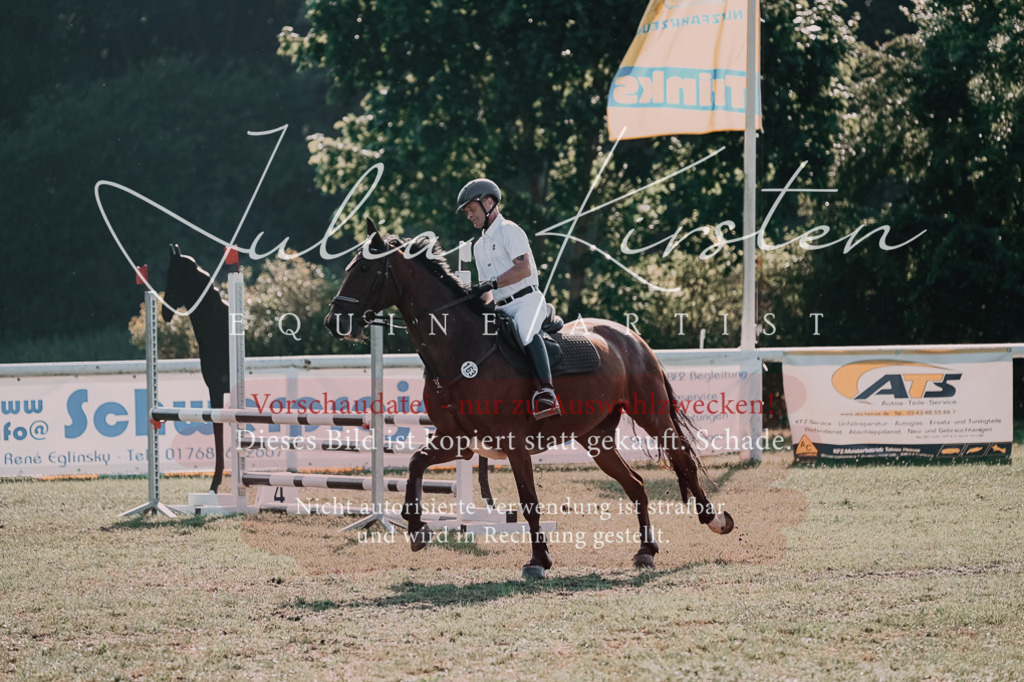 DSC_4633 | Pferde- und Turnierfotografie in Westsachsen. Pferdeportraits, Auftragszeichnungen und intuitive Kunst.