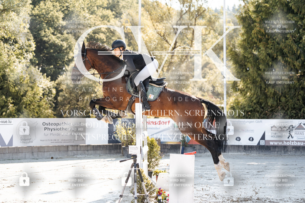CK904119 | Turnierfotografie Pferdefotografie Trier Rheinland-Pfalz Pferdesport Reitsport Tierfotografie Sportfotografie Pferdevideo Pferdevideografie Equestrianvideography equestrianphotography  - Realisiert mit Pictrs.com