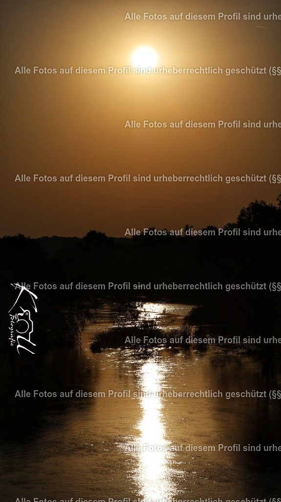 Photo_1726814834593 | krollfotografie - Realisiert mit Pictrs.com