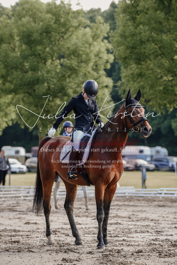 DSC_7945 | Pferde- und Turnierfotografie in Westsachsen. Pferdeportraits, Auftragszeichnungen und intuitive Kunst.